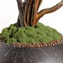 Objets de décoration - Mira Bonsai - 9 - Bonsaï artificiel décoratif fait main - OMNIA CONCEPT