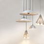 Hanging lights - Leaf suspension - N.LOBJOY
