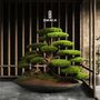 Decorative objects - Kursa Thuja - 1 - Premium Quality Decorative Handmade Artificial Bonsai Tree - OMNIA CONCEPT