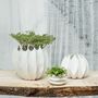 Vases - AVA white vase biscuit porcelain  H=20cm, D=21cm - YLVAYA DESIGN
