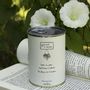 Decorative objects - Sowing kit\" Lesson of the day\ " - MAUVAISES GRAINES
