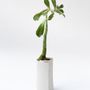 Vases - ARK 4 White vase biscuit porcelain H=19cm, D=9,5cm - YLVAYA DESIGN