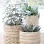 Pottery - Flowerpots and planters - CHIC ANTIQUE A/S