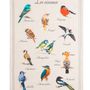 Tea towel - The Birds - Tea towel printed in mixed color - COUCKE
