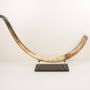 Design objects - Natural woolly mammoth tusk (Mammuthus primigenius) - ARCTIC ANTIQUES