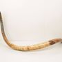 Design objects - Natural woolly mammoth tusk (Mammuthus primigenius) - ARCTIC ANTIQUES