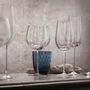 Stemware - Tolomeo White Wine Stem - NASONMORETTI SRL