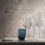 Stemware - Tolomeo White Wine Stem - NASONMORETTI SRL