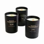 Nativity scenes and santons - Scented Candle EKO - Pine Tree - BY BENSON