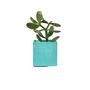 Floral decoration - Colored concrete pot for green plant - JUNNY