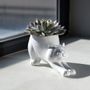 Outdoor decorative accessories - Cat Plant Pots - FISURA