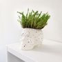 Floral decoration - Eyes Plant Pot - FISURA