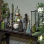 Decorative objects - Forever Green - BOLTZE GRUPPE GMBH