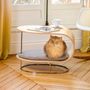 Design objects - BED FOR CAT AND DOG | LUNAR SOFA END - BOGAREL