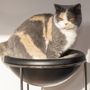 Pet accessories - COSMOS SOLID WOOD CAT TREE - BOGAREL