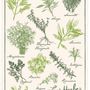 Dish towels - Printed tea towel Les herbes de Provence Écru 48 X 72 - MAISON VIVARAISE - SDE VIVARAISE WINKLER
