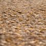 Rugs - Rug Elliot Bronze 190 X 290 - MAISON VIVARAISE - SDE VIVARAISE WINKLER