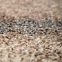 Rugs - Rug Vadim Naturel 160 X 230 - MAISON VIVARAISE - SDE VIVARAISE WINKLER