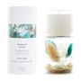 Décorations florales - Herbarium Candle par BOTANICA Fragrance Japan - ABINGPLUS