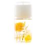 Décorations florales - Herbarium Candle par BOTANICA Fragrance Japan - ABINGPLUS