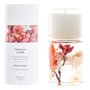 Décorations florales - Herbarium Candle par BOTANICA Fragrance Japan - ABINGPLUS