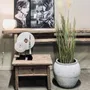 Night tables - Natural side table with drawer - PAGODA INTERNATIONAL