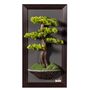 Other wall decoration - Thuja Table - 13 - Handmade artificial bonsai decorative board. - OMNIA CONCEPT