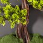 Other wall decoration - Thuja Table - 13 - Handmade artificial bonsai decorative board. - OMNIA CONCEPT