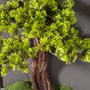 Other wall decoration - Thuja Table - 13 - Handmade artificial bonsai decorative board. - OMNIA CONCEPT