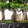 Objets de décoration - Navis Bonsai Garden - Bonsaï artificiel décoratif fait main - OMNIA CONCEPT