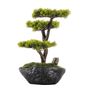 Objets de décoration - Calypso Bonsai - 3 - Bonsaï miniature décoratif fait main pour tous les espaces de vie - OMNIA CONCEPT