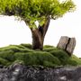 Objets de décoration - Calypso Bonsai - 3 - Bonsaï miniature décoratif fait main pour tous les espaces de vie - OMNIA CONCEPT