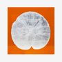 Tableaux - Feuille de lotus - SO SKIN - IDASY