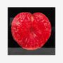 Paintings - Lotus leaf - SO SKIN - IDASY