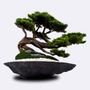 Decorative objects - Kursa Thuja - 3 - Premium Quality Decorative Handmade Artificial Bonsai Tree - OMNIA CONCEPT