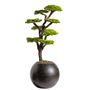 Decorative objects - Mira Bonsai - 8 - handmade created from a real tree trunk - OMNIA CONCEPT