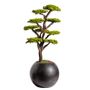 Decorative objects - Mira Bonsai - 8 - handmade created from a real tree trunk - OMNIA CONCEPT