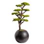 Objets de décoration - Mira Bonsai - 8 - fait main créé à partir d'un vrai tronc d'arbre. - OMNIA CONCEPT