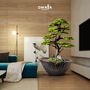 Decorative objects - Handmade decorative artificial bonsai - Algenib Thuja - 5 - OMNIA CONCEPT