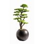 Decorative objects - Mira Bonsai - 7 - Decorative artificial bonsai handmade from a real tree trunk - OMNIA CONCEPT