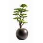 Objets de décoration - Mira Bonsai - 7 - Bonsaï artificiel décoratif fait main à partir d'un vrai tronc d'arbre - OMNIA CONCEPT