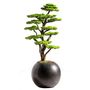 Decorative objects - Mira Bonsai - 7 - Decorative artificial bonsai handmade from a real tree trunk - OMNIA CONCEPT