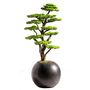 Objets de décoration - Mira Bonsai - 7 - Bonsaï artificiel décoratif fait main à partir d'un vrai tronc d'arbre - OMNIA CONCEPT