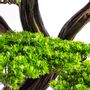 Objets de décoration - Mira Bonsai - 7 - Bonsaï artificiel décoratif fait main à partir d'un vrai tronc d'arbre - OMNIA CONCEPT