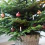 Autres décorations de Noël - Panier - Smart - BY BENSON