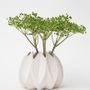Vases - ARIA porcelaine vase D=16cm - YLVAYA DESIGN