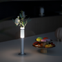 Table lamps - MiZuTaMa - TUBICEN LIGHTING