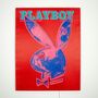 Other wall decoration - Playboy Wall Art with LED Neon - Andy Warhol Cover - Pink - LOCOMOCEAN