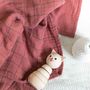 Fabrics - Baby collection - LA CERISE SUR LE GÂTEAU