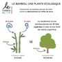 Couverts & ustensiles de cuisine - Charbon de bambou fin 100 % français 2 en 1 - LE CHARBON ACTIF FRANÇAIS